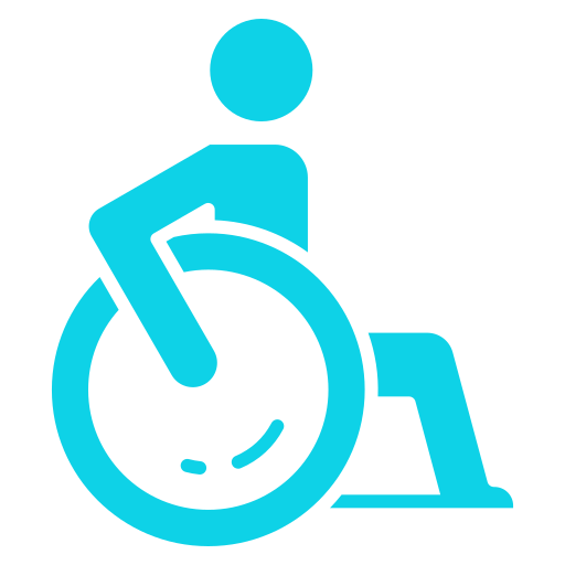 discapacidad Generic color fill icono