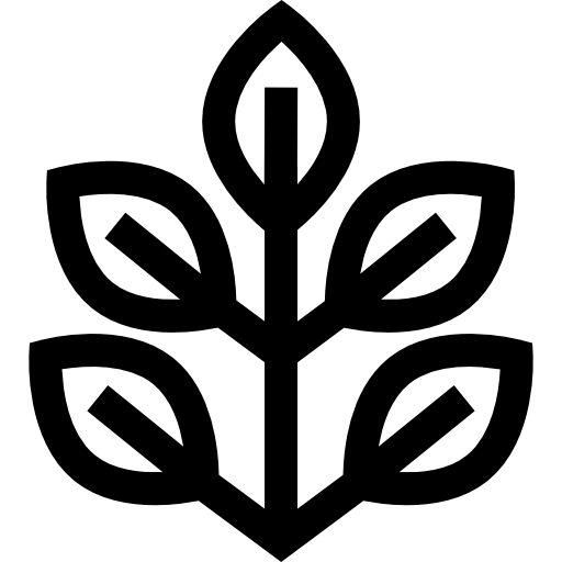 spinaci Basic Straight Lineal icona