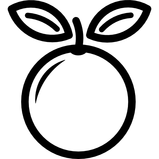 arancia Yuttapong Lineal icona