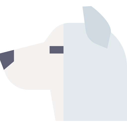 Kishu inu Basic Straight Flat icon