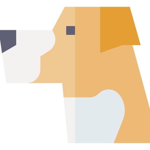 pitbull Basic Straight Flat icona