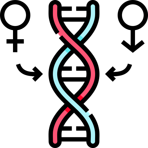 Генетика Detailed Straight Lineal color иконка
