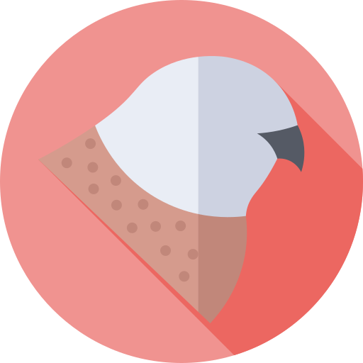 gheppio comune Flat Circular Flat icona