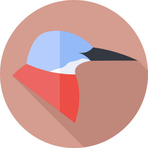 Common kingfisher Flat Circular Flat icon