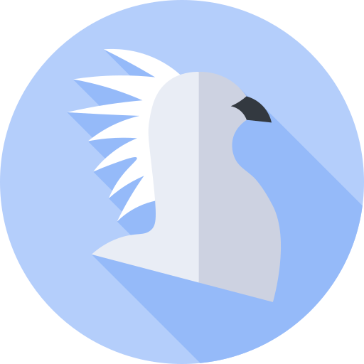 uccello segretario Flat Circular Flat icona