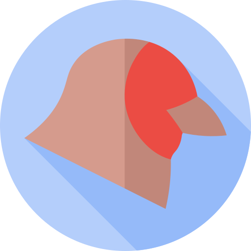 European goldfinch Flat Circular Flat icon