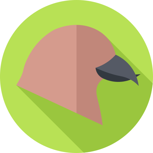 ptak jedzący nasiona Flat Circular Flat ikona