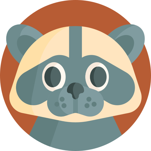 raccoon Detailed Flat Circular Flat icon