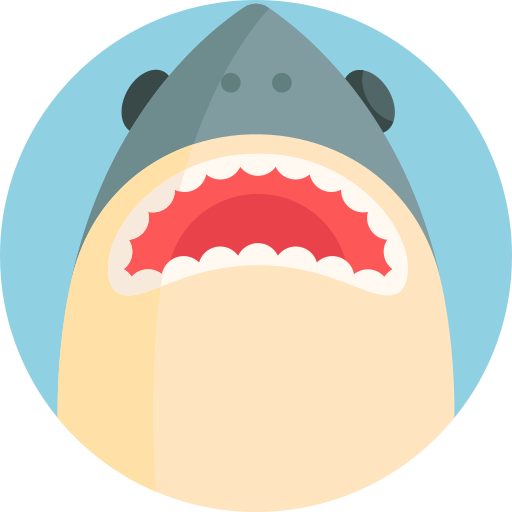 haai Detailed Flat Circular Flat icoon