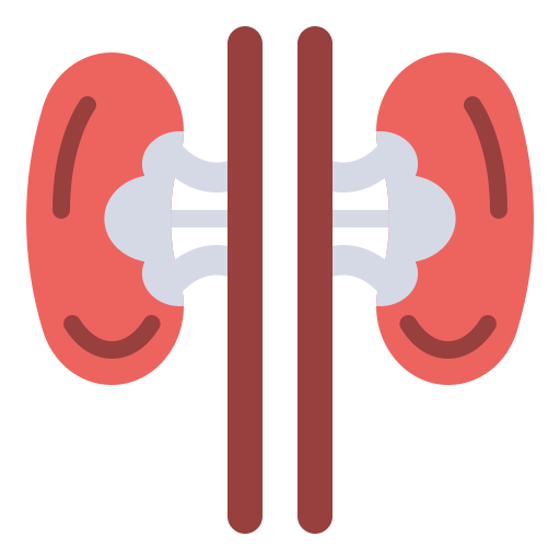 riñón Generic Flat icono