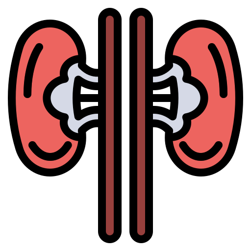 riñón Generic Outline Color icono
