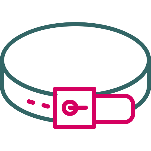 Belt Generic color outline icon