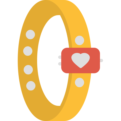 armband Generic color fill icon