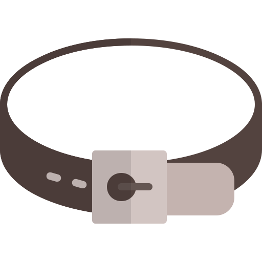 Belt Generic color fill icon