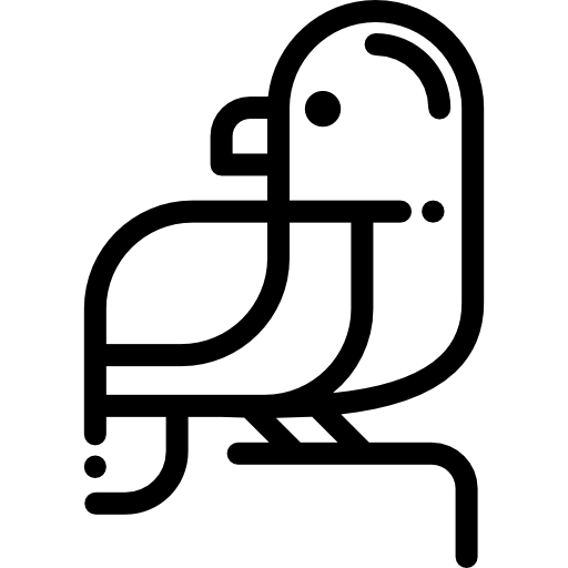 オウム Detailed Rounded Lineal icon