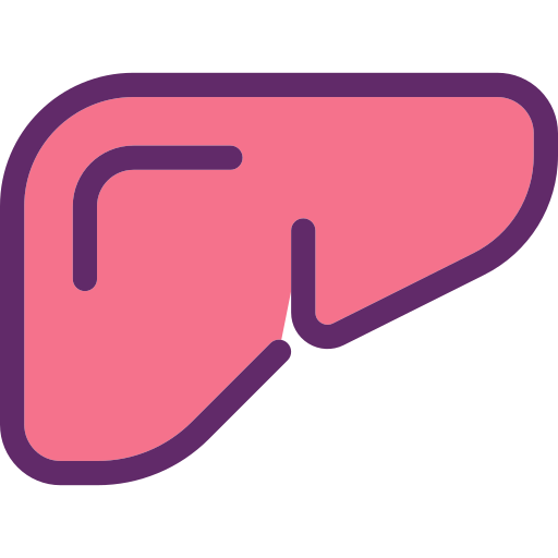 肝臓 Generic Outline Color icon