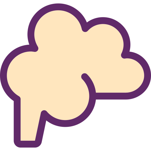 Brain Generic Outline Color icon