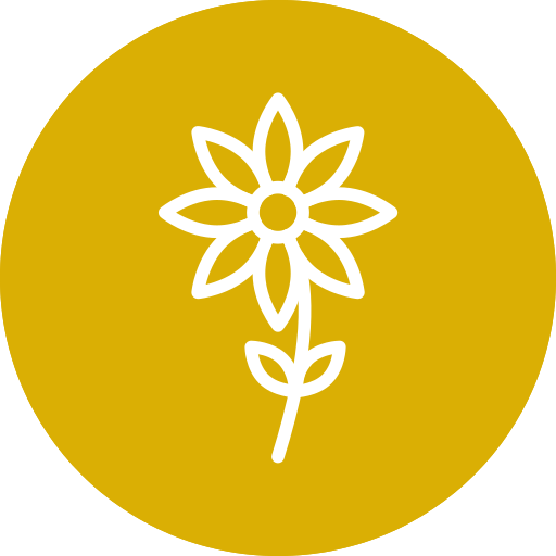 blume Generic color fill icon