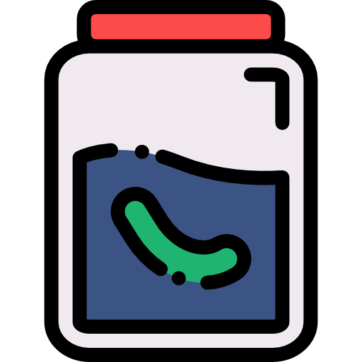 essiggurke Detailed Rounded Lineal color icon