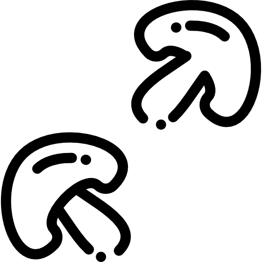 キノコ Detailed Rounded Lineal icon