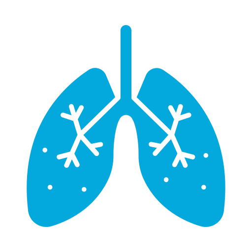 Lungs Generic color fill icon