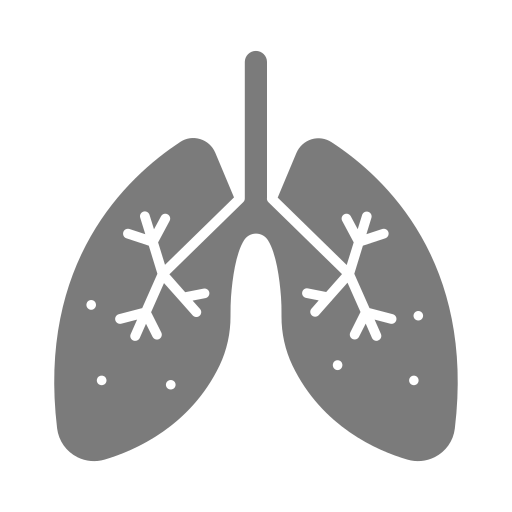 Lungs Generic color fill icon