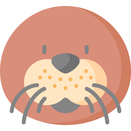 바다 코끼리 Special Flat icon