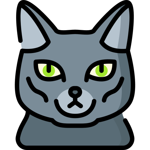 gato korat Special Lineal color icono