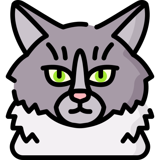 gato del bosque noruego Special Lineal color icono