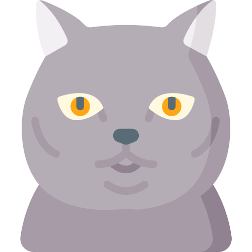 Chartreux Special Flat icon