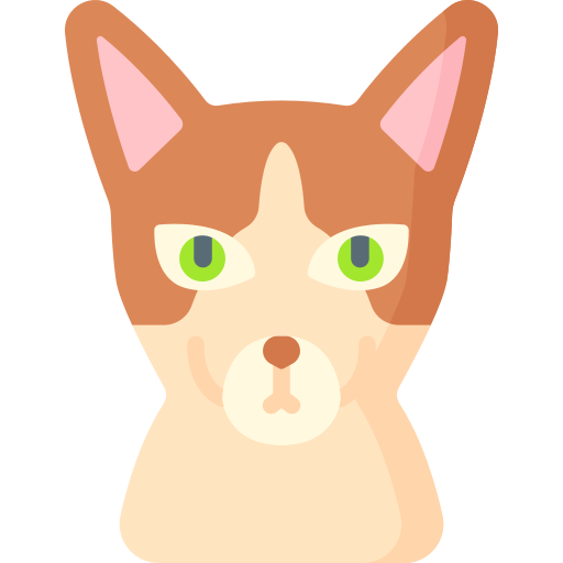 Oriental Cat Special Flat icon