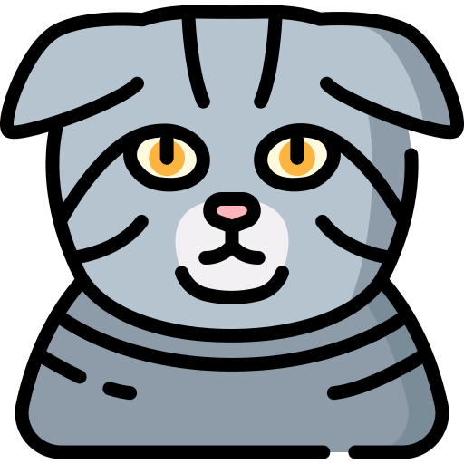 Scottish fold Special Lineal color icon