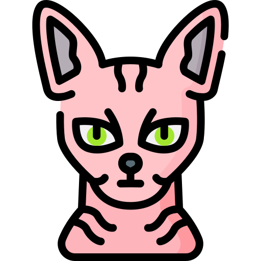 Peterbald Special Lineal color icon