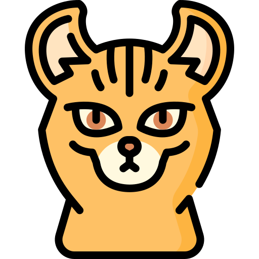 Highlander cat Special Lineal color icon