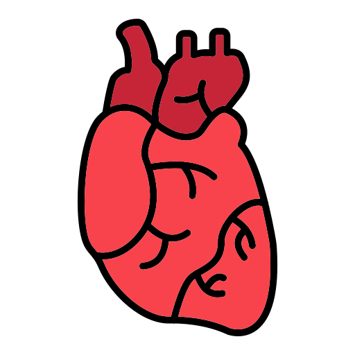 Heart Generic color lineal-color icon