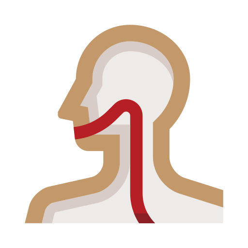 Larynx Generic color fill icon