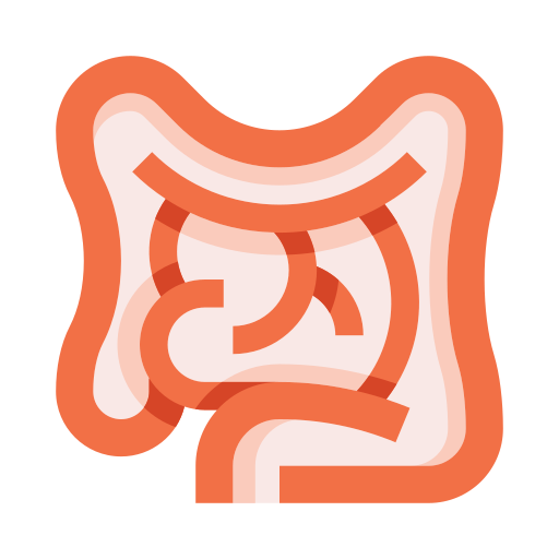 intestinos Generic color fill icono