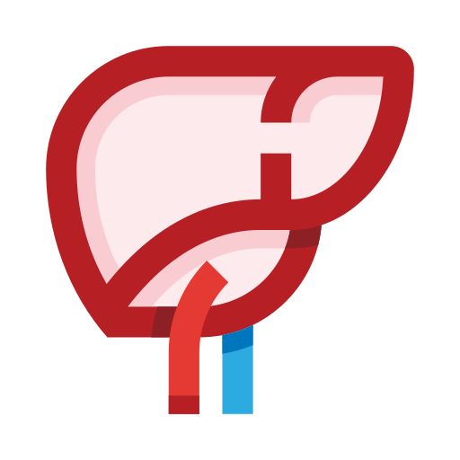 Liver organ Generic color fill icon