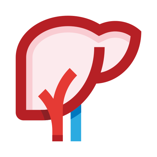 Liver organ Generic color fill icon