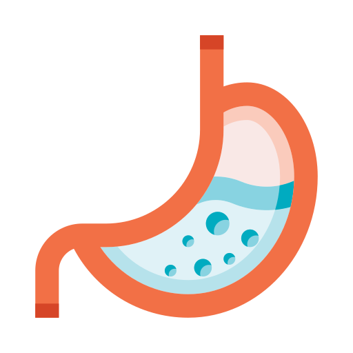 bauch Generic color fill icon