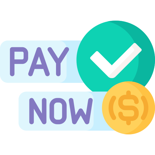 Pay Special Flat icon