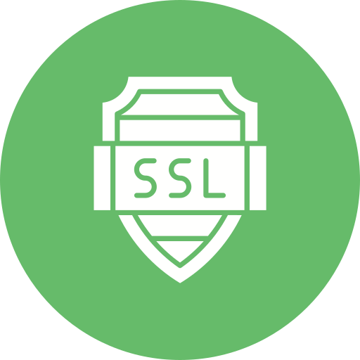 ssl Generic color fill Ícone