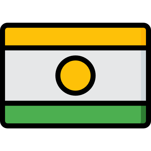 niger Basic Miscellany Lineal Color icon