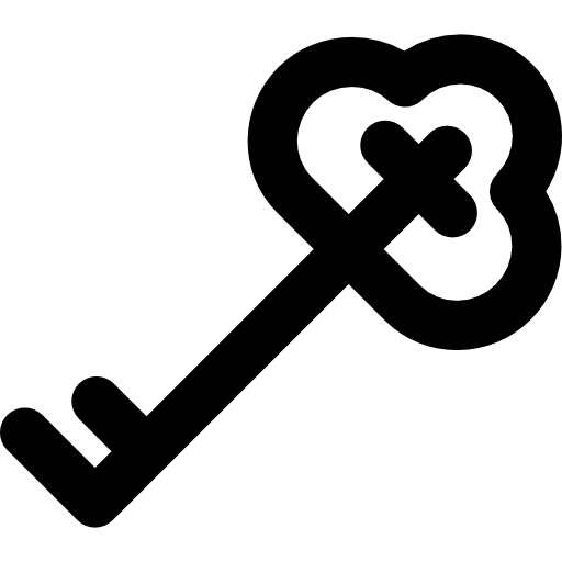 Crypt Key Curved Lineal icon