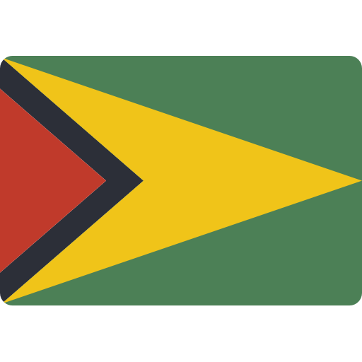 Guyana Basic Miscellany Flat icon