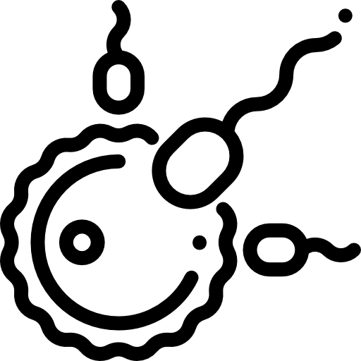 fertilisation Detailed Rounded Lineal Icône