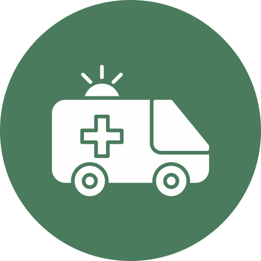 krankenwagen Generic color fill icon