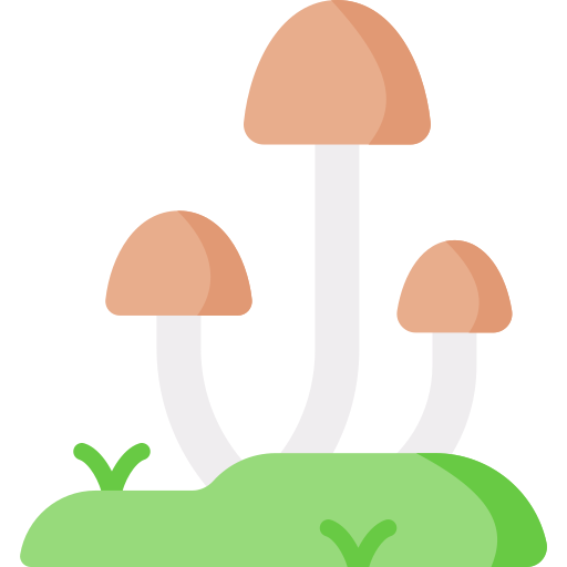 Mushroom Special Flat icon