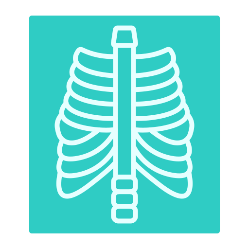 X ray Generic color fill icon