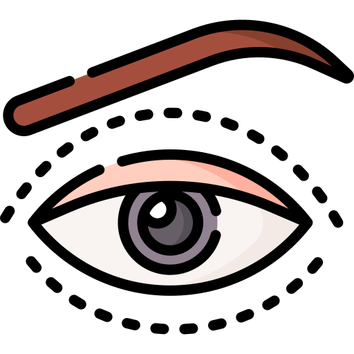 Eyelid Special Lineal color icon